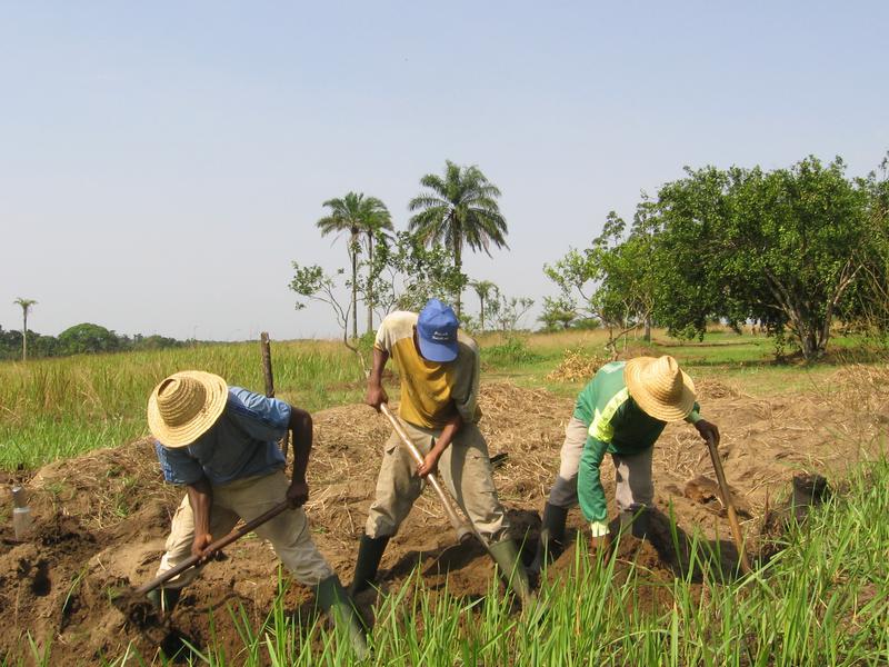 img-progetto-itticoltura-e-agricoltura